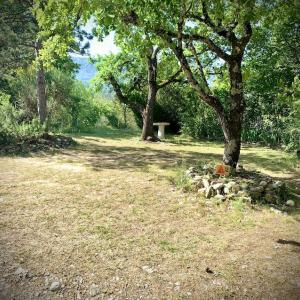 camping nature riviere drome